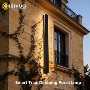 Dimmable Outdoor Wall Sconce